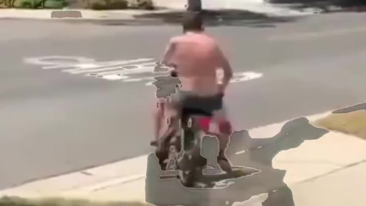 funny compilation video 🤣🤣🤣🤣