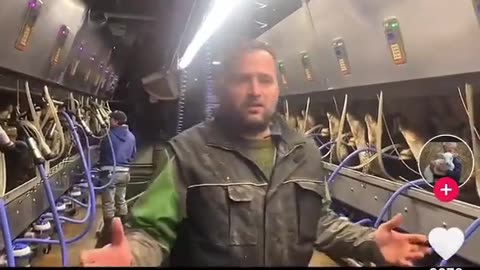 Canadian government force farmer dumps 30K gallons of milk