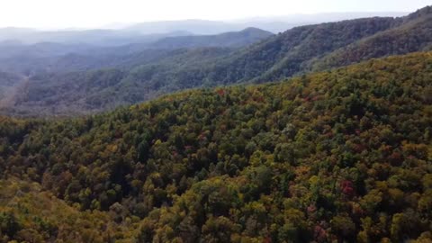 Relaxing Music | Sleeping, Meditation, Stress Relief | [6147] ⭐️