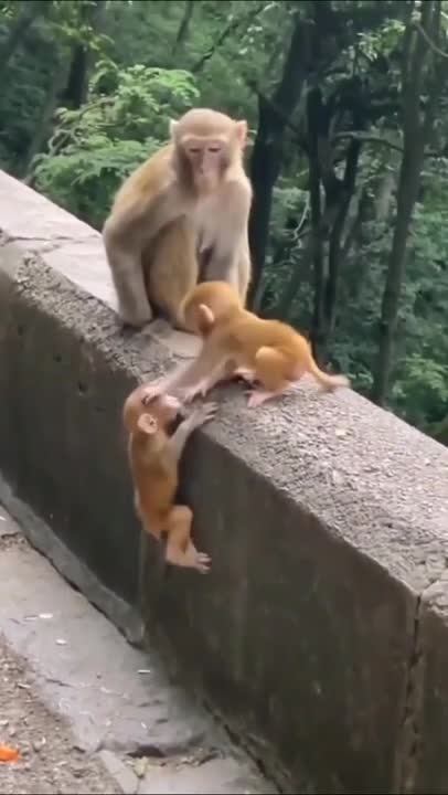 Cute Baby Drinking Milk With Milk Bottle| Good Health Lyly Sleep Milk