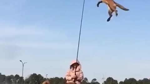 The Flying Dog