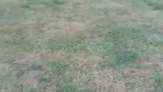 Skateboarding Antics 2021