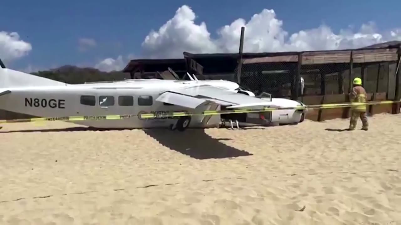 Plane crashes into Mexico beach turtle haven