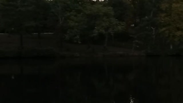 Cumberland Mountain State Park Bridge