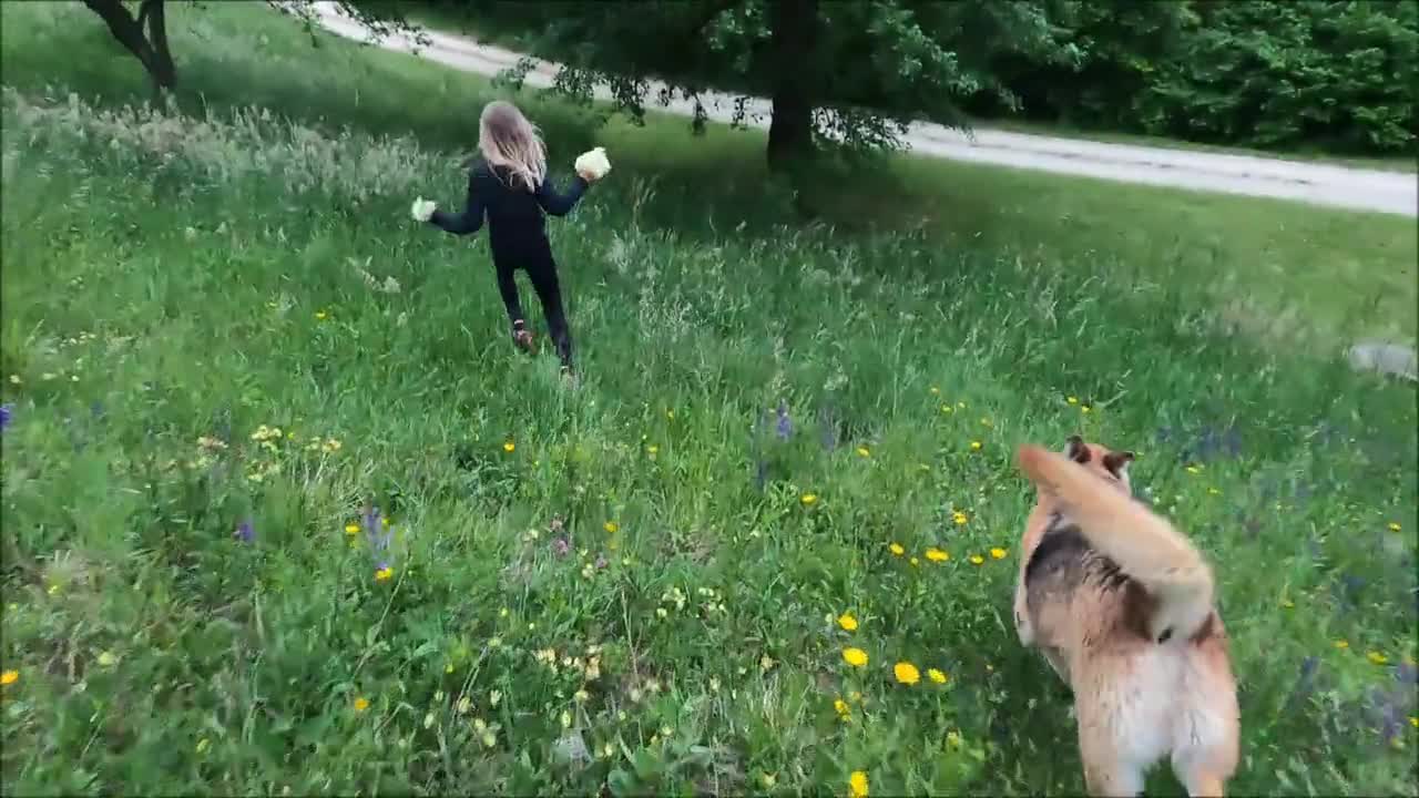 Girl and Dog Running in Grass Field 1#