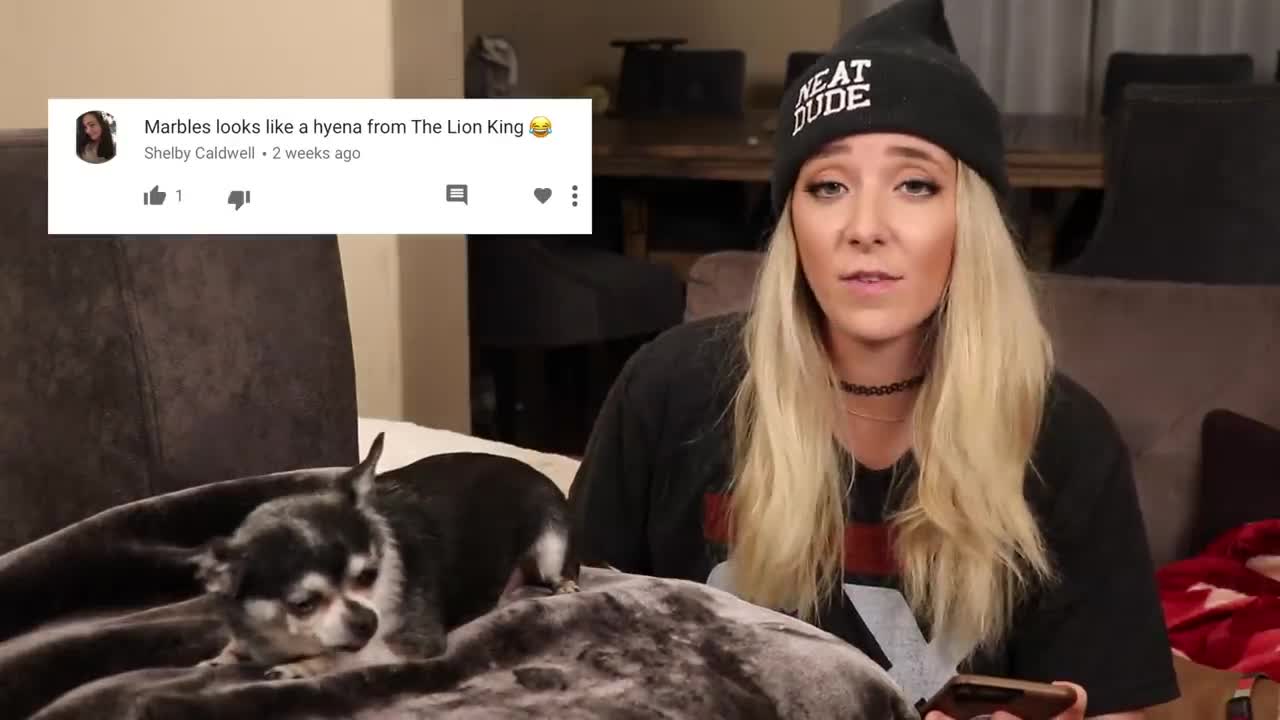 Reading angry comments about my dogs/Чтение злых комментариев о моих собаках