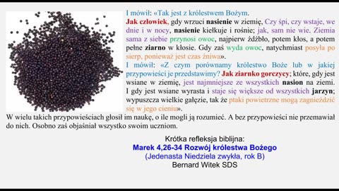 Marek 4,26-34 Rozwój królestwa Bożego