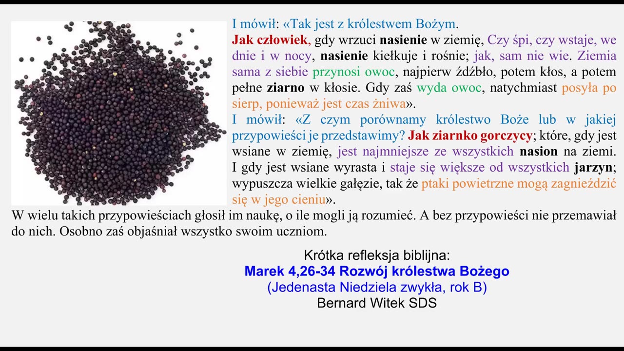 Marek 4,26-34 Rozwój królestwa Bożego