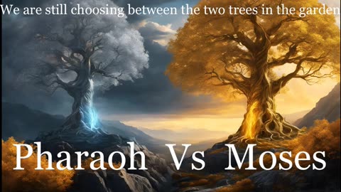 Pharaoh Vs Moses