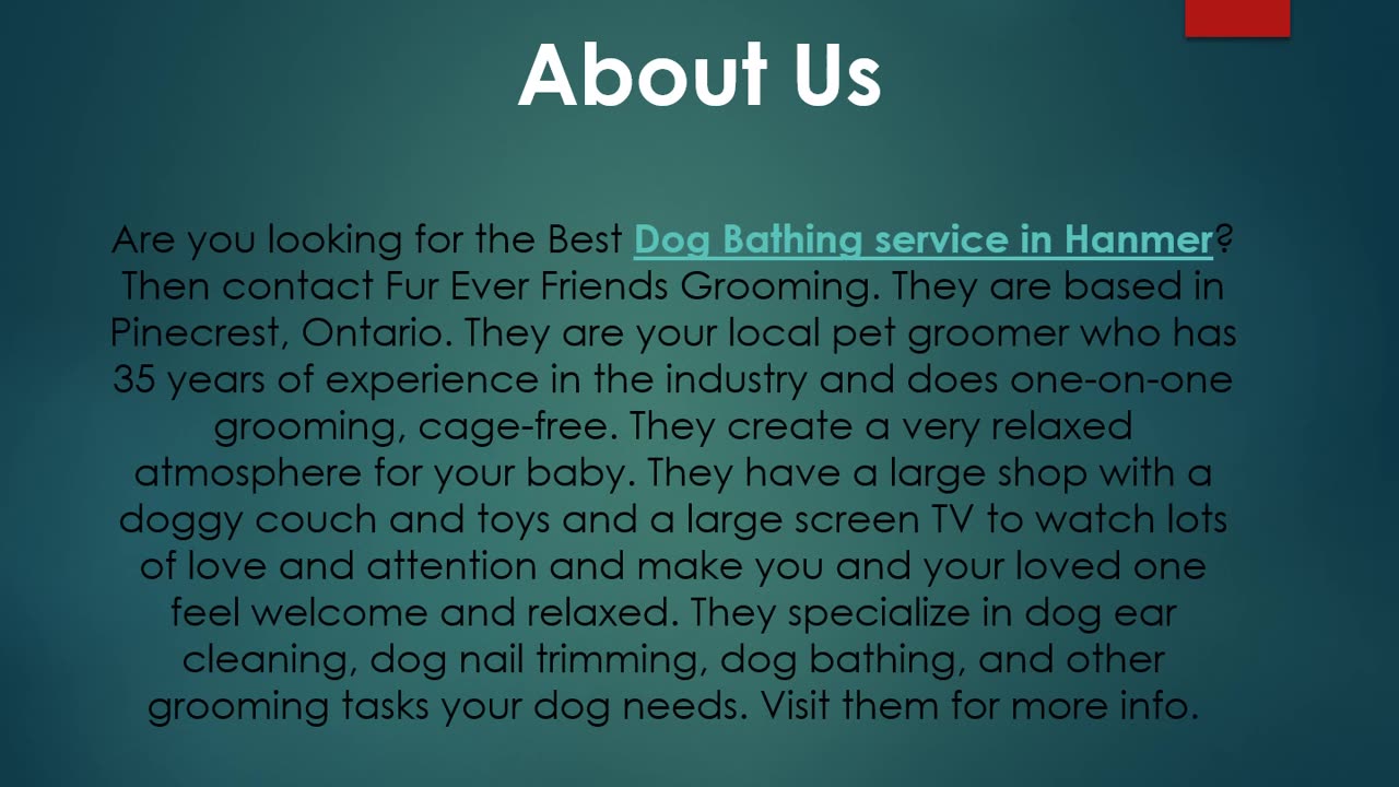 Best Dog Bathing Service in Hanmer