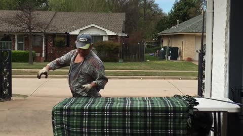 Australian Shepherd Training Exercising