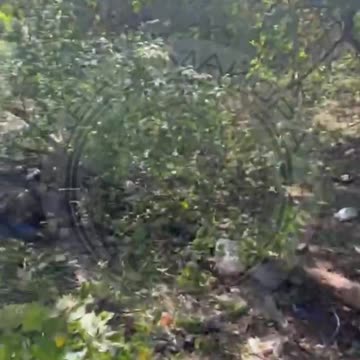 Russian 810th Marine Brigade destroyed Ukrainian forces in Kursk region