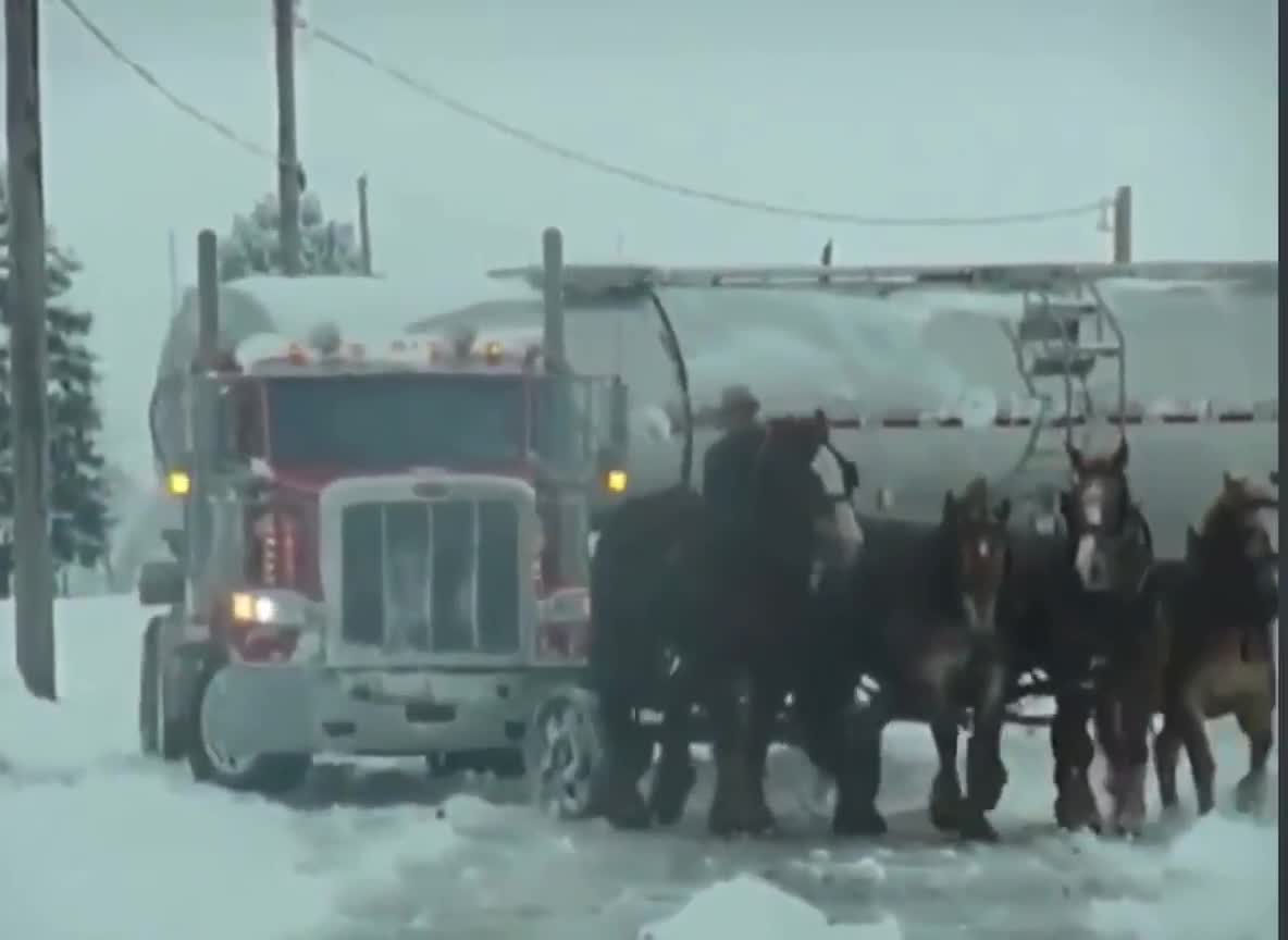 The Amish show up to help get this trucker out of a ditch!