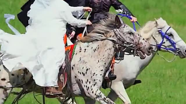 horseback riding on the prairie