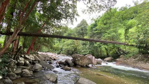 the beauty of the stone river