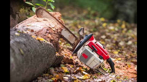 Fantastic Tree Service & Landscaping - (346) 358-6570