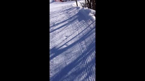 Ski Fight