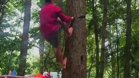 Climbing a tree🌲🌲