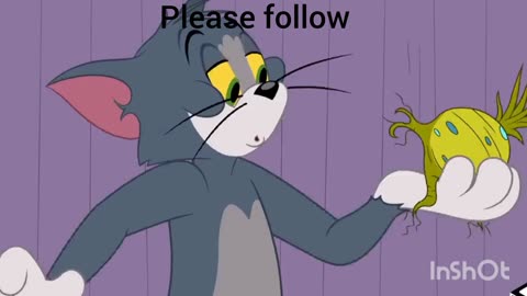 tom and jerry funny video