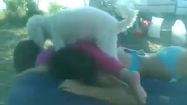 Funny 🐕 dog humping