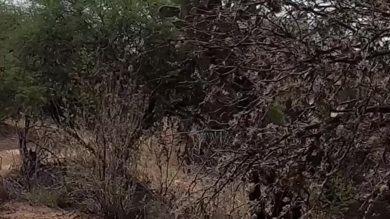 You can't find anyone!