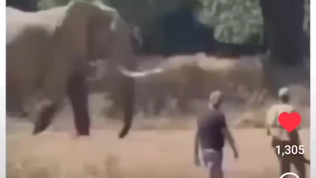It Takes Courage