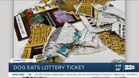 Couple writes letter to lottery officials with photos after dog destroys their tickets