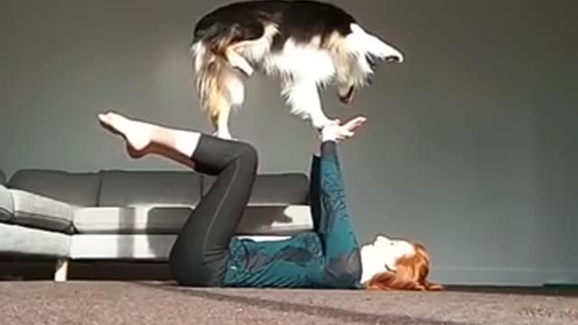 Dog training