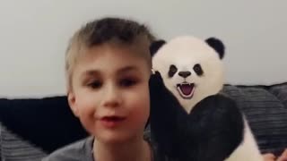 Albert meets a Panda