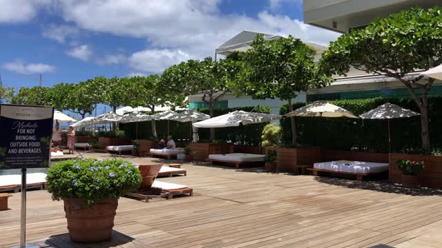 Tropical Breeze at The Modern Hotel Pool, Waikiki