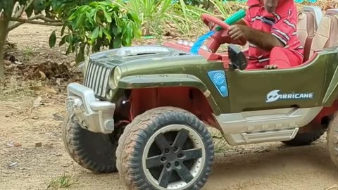 Cute monkey drives car to the farm