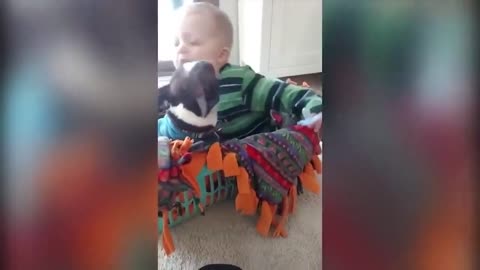 Cute Kids and Animal Compilation