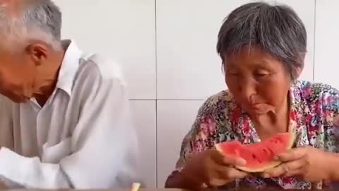 New Funny Video, 2021😂😂😂😂