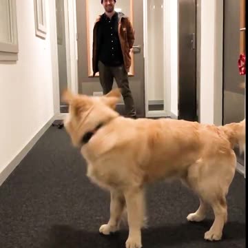 Haha SIKE! 😂🎾🐶