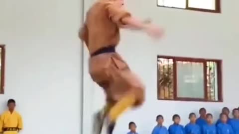 Impressive Kung Fu Performance !