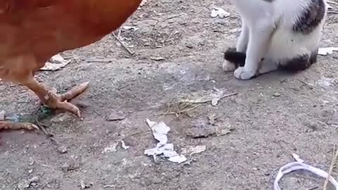 Don't do that! 😄😄😄