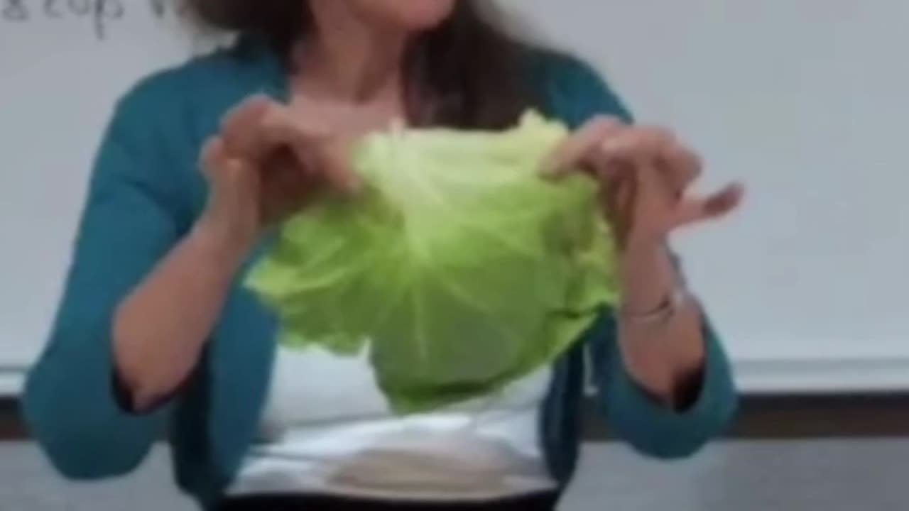 Barbara O’Neill~Cabbage 🥬 For Inflammation