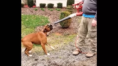 OMG!THIS VIDEO IS HILARIOUS