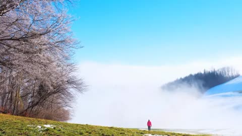 Serenity by the Lakeside in the Heart of Nature