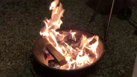 Spring Camping Bulmong Barbecue Firewood Campfire