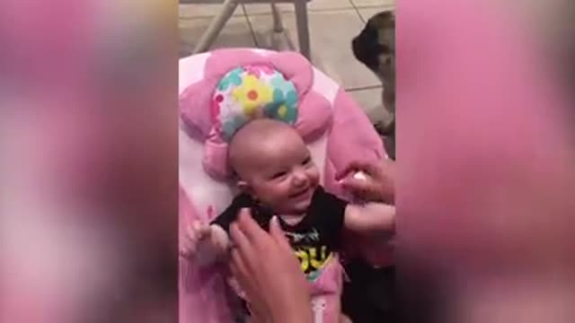 Funny babies and cute babies