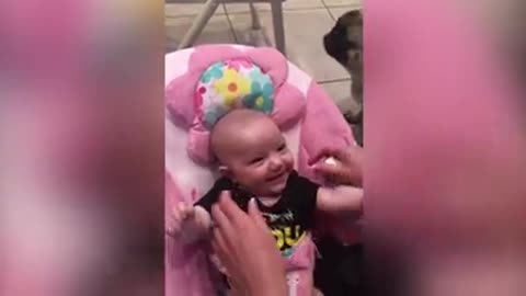 Funny babies and cute babies