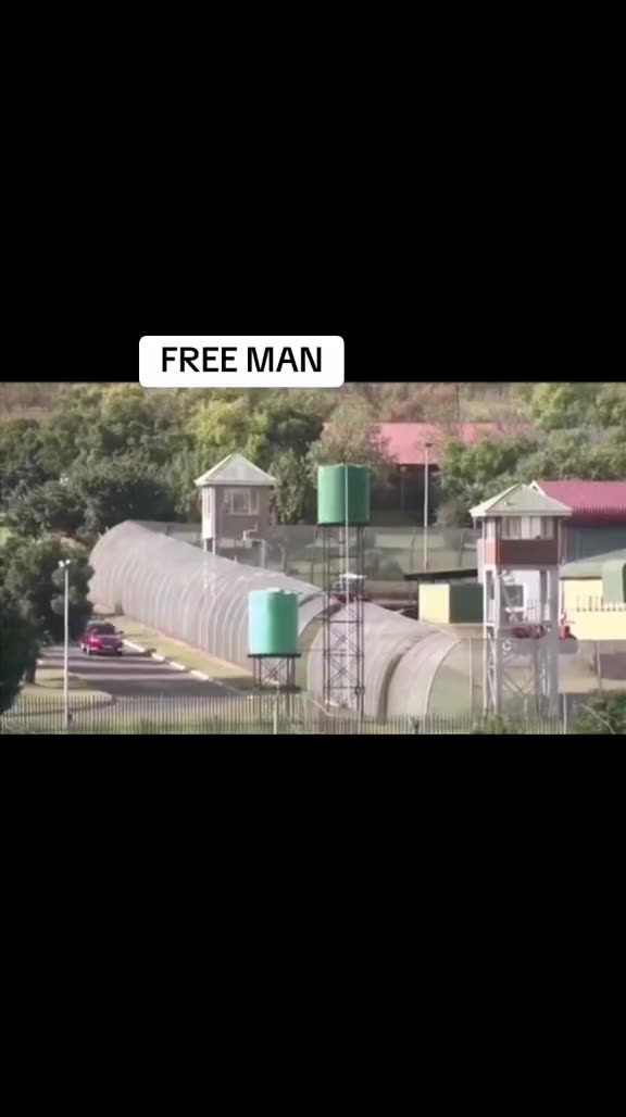 Oscar walks home free