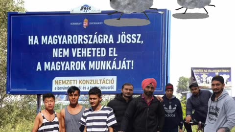 nemzeti konzultáció