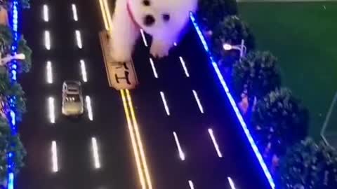 Here comes Godzilla. It's so cute