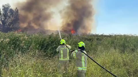 Four fire brigades are working to put out a fire that broke out in an open area