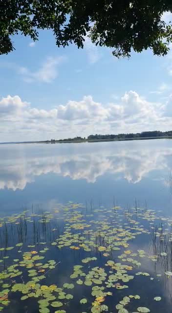 Accidentally filmed the beauty of nature!