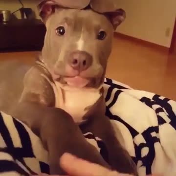 “Tag, you’re it!”