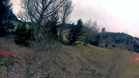 FPV Freestyle 1 pack Rip First IRL Barani #FPV #FPVFreestyle #Viral