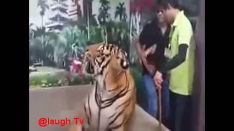 Whatsapp Most Viral Funny Videos Funny Pranks Try Not To Laugh Challenge